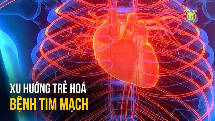 Những vấn đề thường gặp trong tim mạch